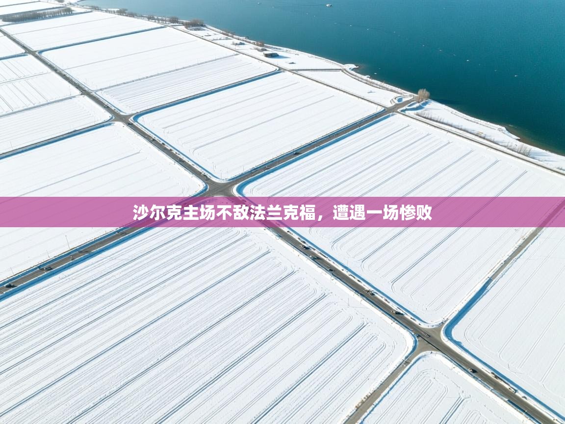 沙尔克主场不敌法兰克福，遭遇一场惨败  第1张