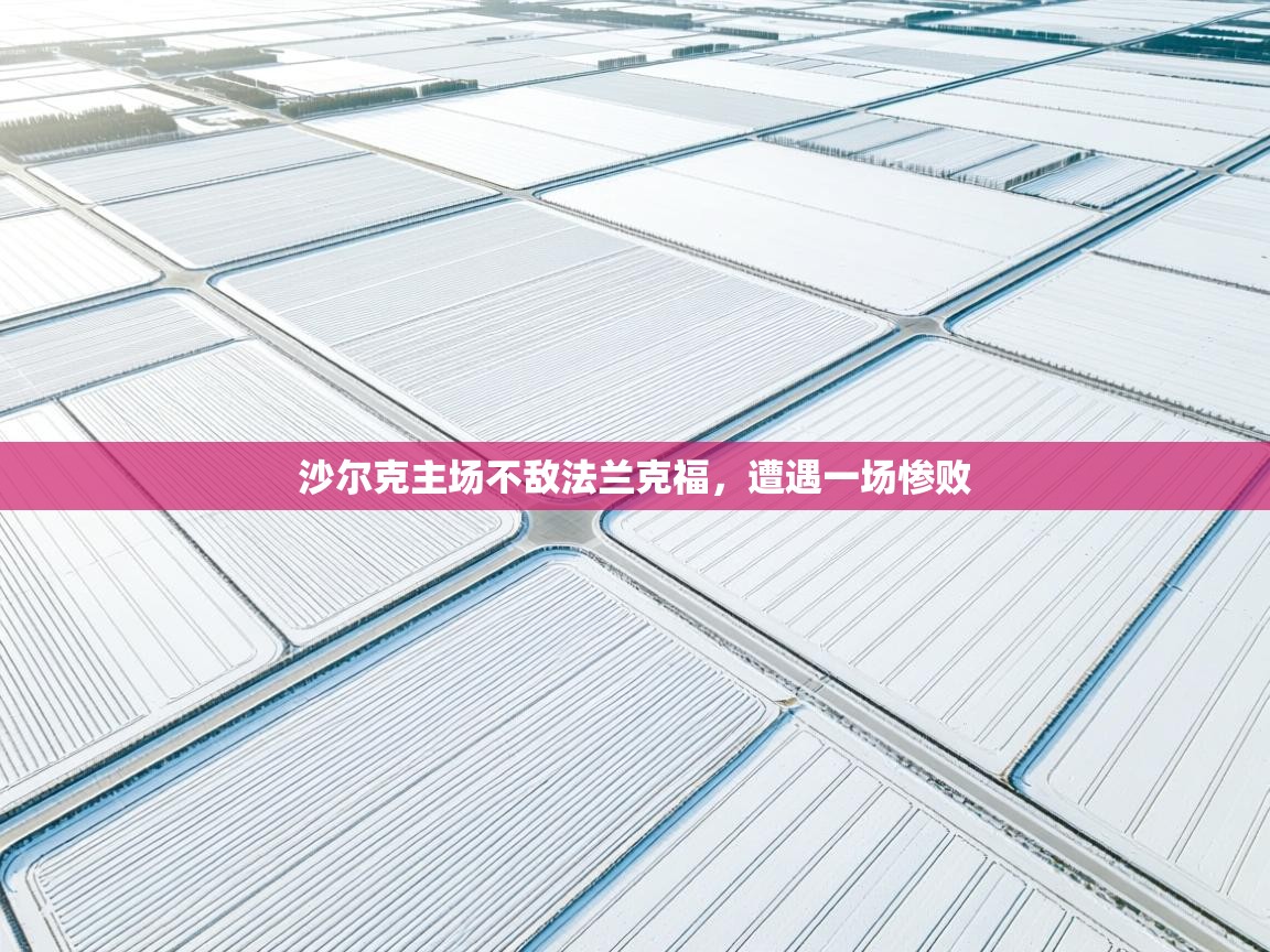 沙尔克主场不敌法兰克福，遭遇一场惨败  第2张