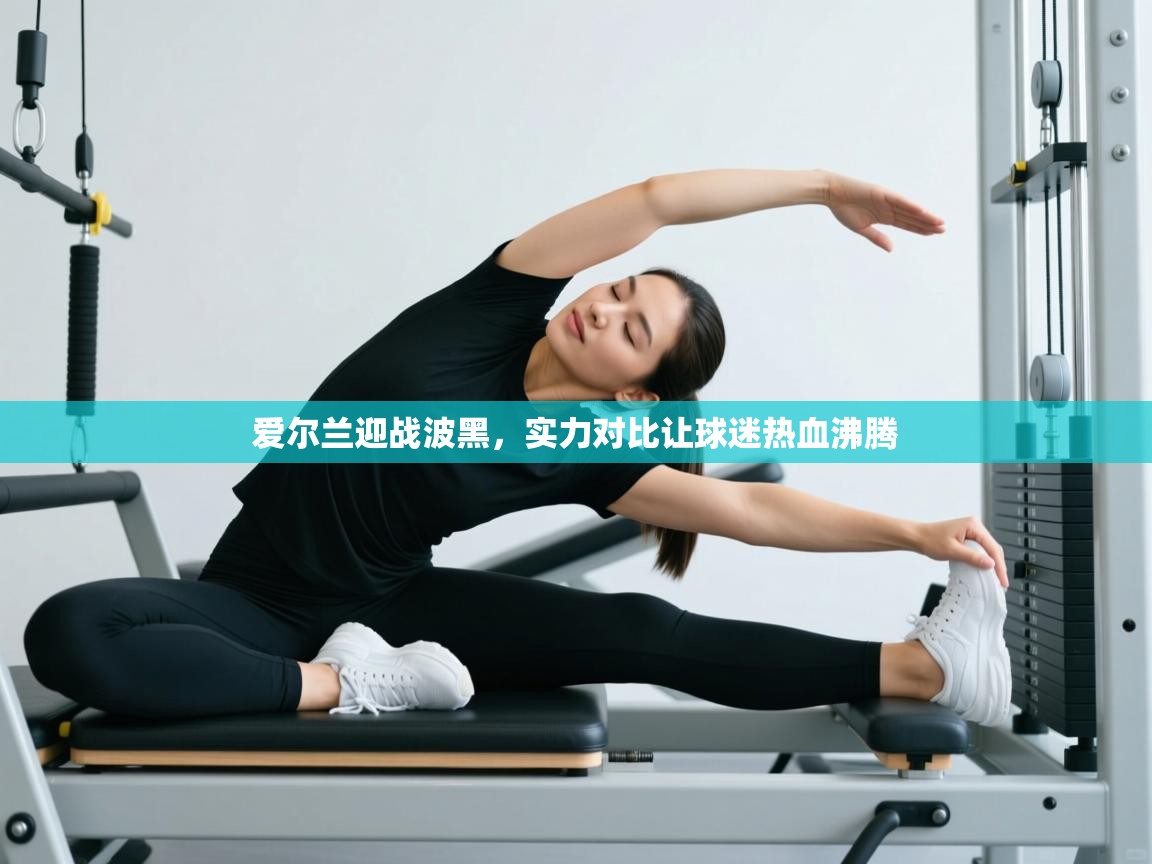 爱尔兰迎战波黑，实力对比让球迷热血沸腾  第1张