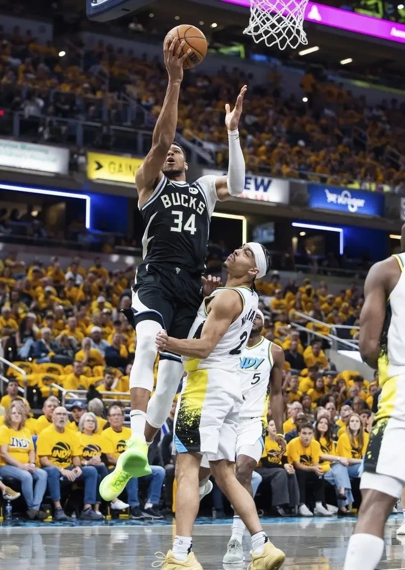 包含雄鹿主场力克猛龙，字母哥火力全开砍下分的词条