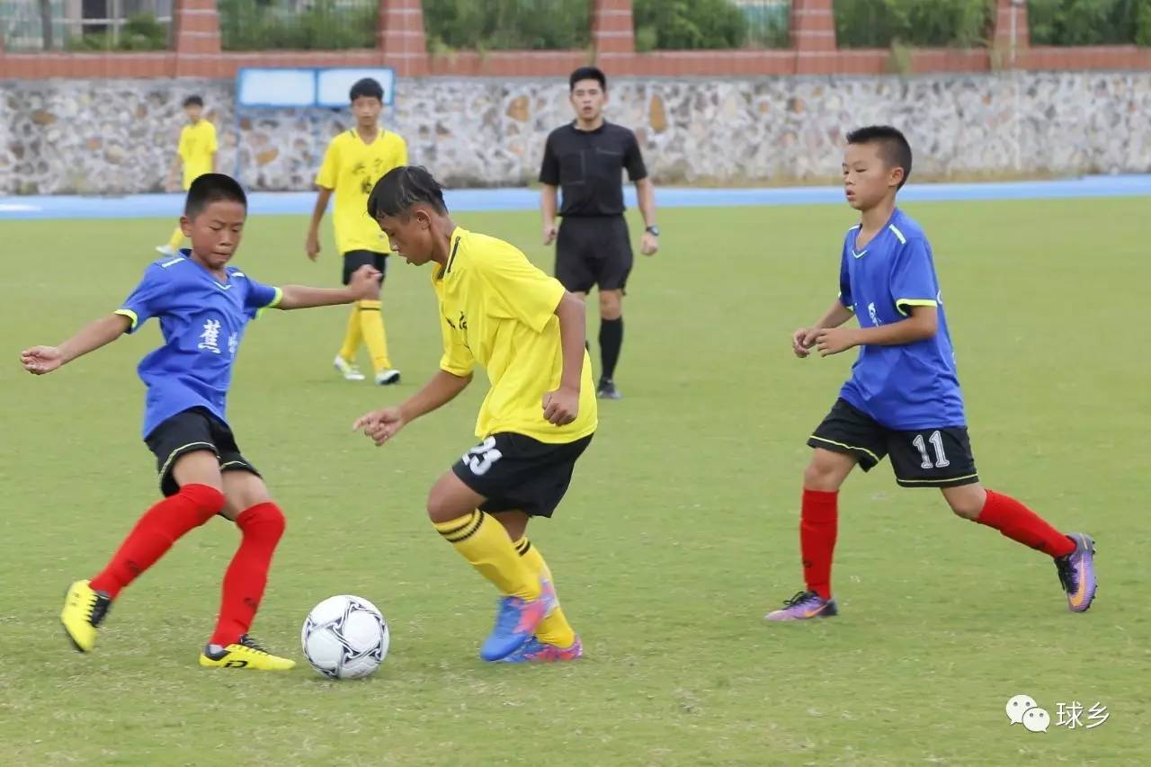 云南队面对山西巨头，苦战拼抢无惧困境的简单介绍