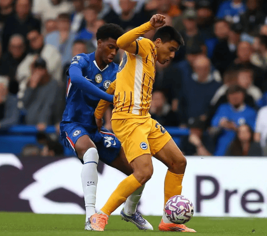 布莱顿苦苦挣扎，战胜了米德尔斯堡！的简单介绍